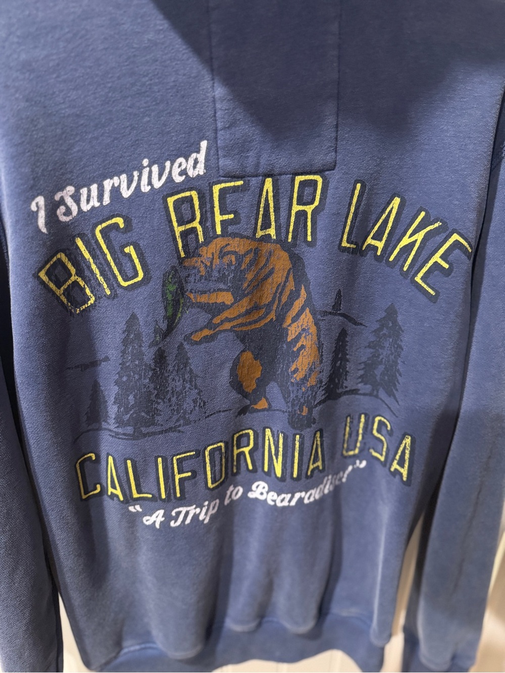 Hollister Co. I Survived Big Bear Lake California USA Graphic Hoodie NWOT - Picture 3 of 5